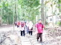 Tn PPTC 191